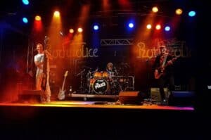 Artist Roster - Tribute Bands & mehr... 268 Artist Roster - Tribute Bands & mehr... 223